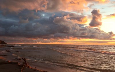 Ashfield-Colborne Lakefront Association (ACLA)