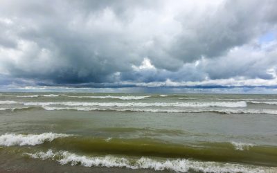 Department of Fisheries and Oceans Canada (DFO)