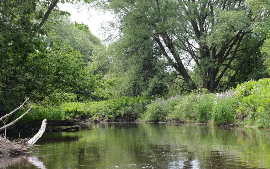 Ministry of Natural Resources and Forestry (MNRF)