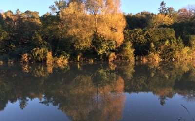 Maitland Valley Conservation Authority (MVCA)